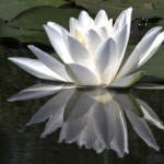 Photo by Chuck Dayton